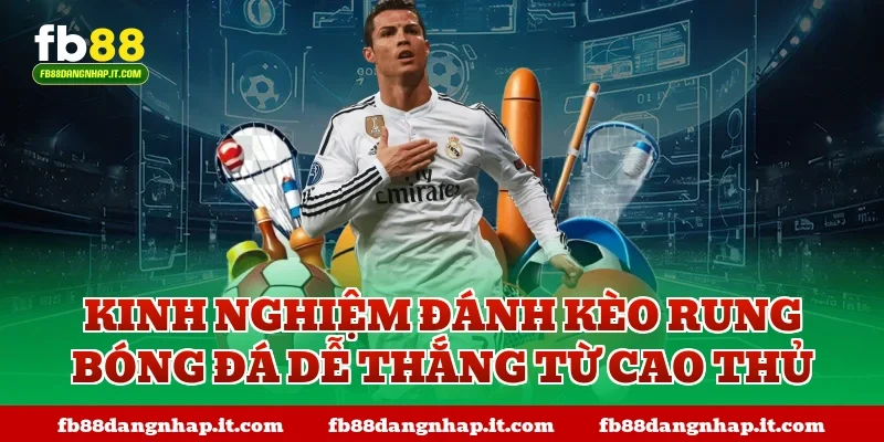 Kinh nghiệm đánh kèo rung bóng đá dễ thắng từ cao thủ