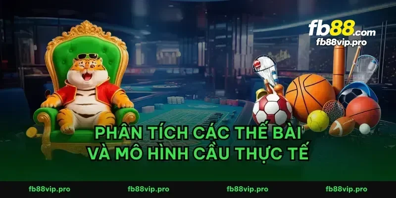 Phân tích các thế bài và mô hình cầu thực tế