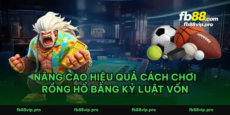 Nâng cao hiệu quả cách chơi rồng hổ bằng kỷ luật vốn