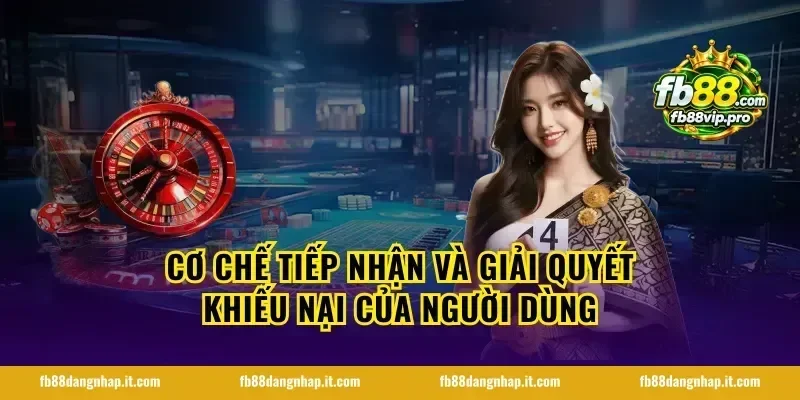 Cơ chế tiếp nhận và giải quyết khiếu nại của người dùng