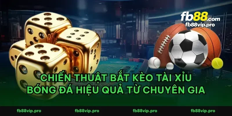 Chiến thuật bắt kèo tài xỉu bóng đá hiệu quả từ chuyên gia