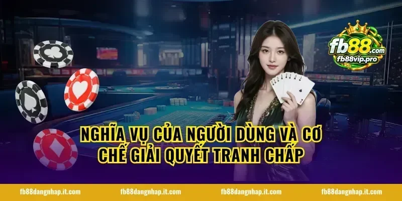 Nghĩa vụ của người dùng và cơ chế giải quyết tranh chấp