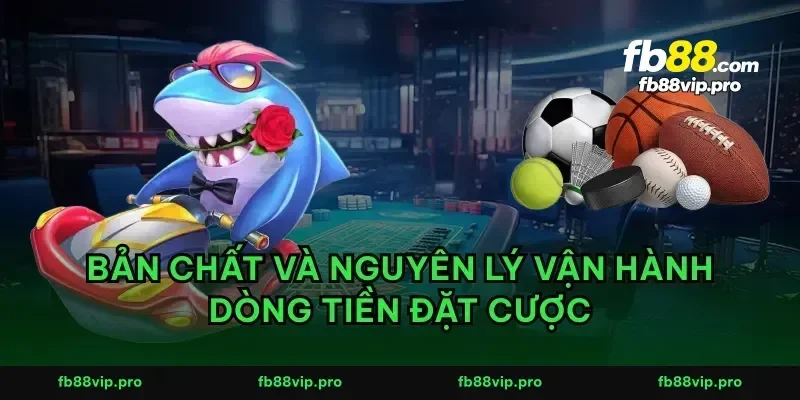 Bản chất và nguyên lý vận hành dòng tiền đặt cược