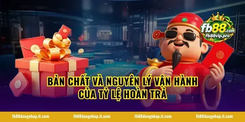 Bản chất và nguyên lý vận hành của tỷ lệ hoàn trả