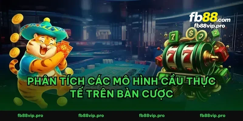 Phân tích các mô hình cầu thực tế trên bàn cược